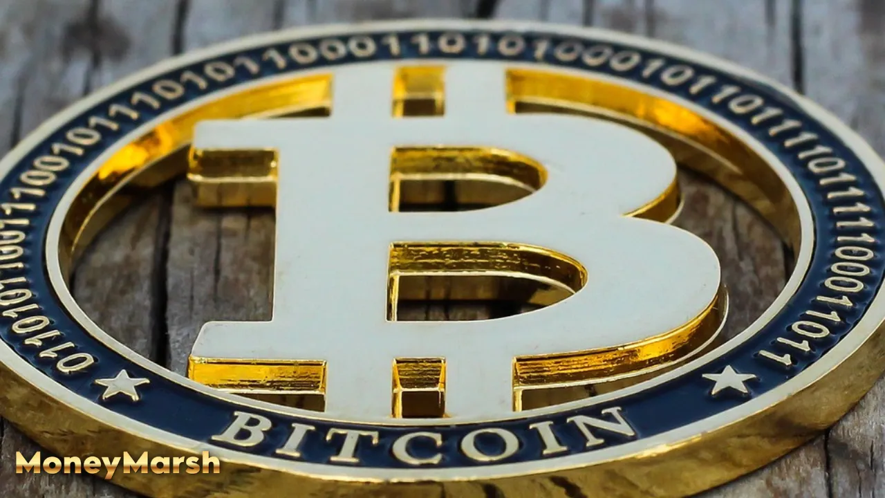 Bitcoin Investment Seizing Opportunity or Tempting Fate Expert Insights Unveiled